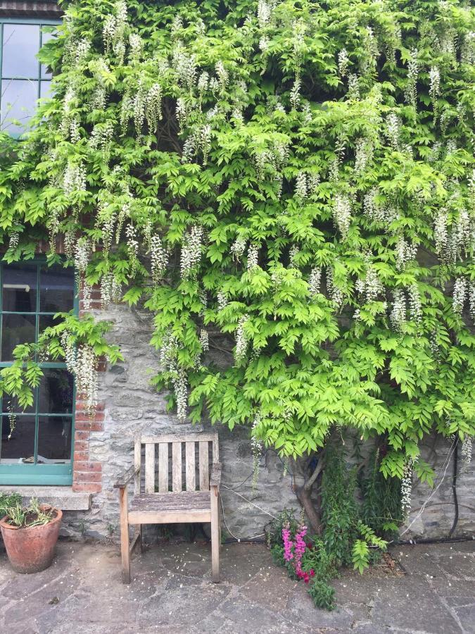 The Stable Yard House At Burtown House & Gardens Villa Athy Buitenkant foto