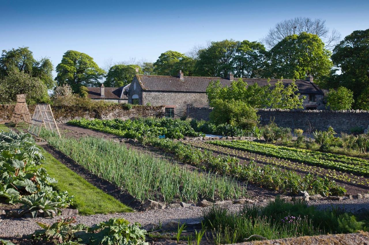 The Stable Yard House At Burtown House & Gardens Villa Athy Buitenkant foto